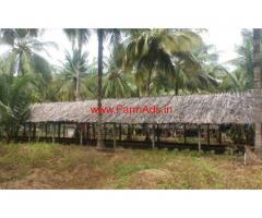 10 Acres Coconut Plantation for sale at Chittur - Palakkad