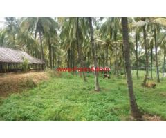 10 Acres Coconut Plantation for sale at Chittur - Palakkad