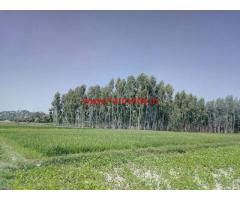 10 Acres Agriculture Land for sale Kanakkankuppam - Gingee