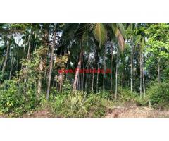 17 acres developed farm for sale on the bank of seetha nadi river, Udupi