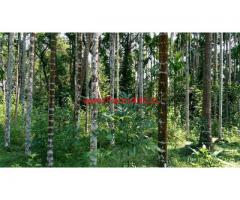 17 acres developed farm for sale on the bank of seetha nadi river, Udupi