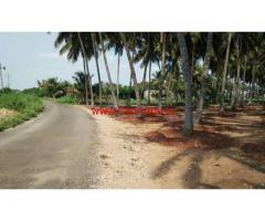 1.60 acre coconut farm sale in Periyapatti, near palladam - udumalpet road