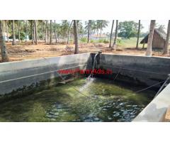 1.60 acre coconut farm sale in Periyapatti, near palladam - udumalpet road