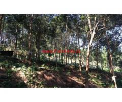 2.83 Acre Rubber plantation for sale at Karimkunnam , thodupuzha