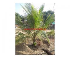 Farm Land for sale near Bangalore at Berigai