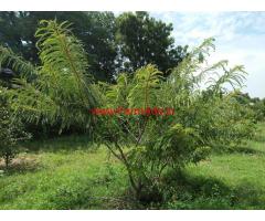 Farm Land for sale near Bangalore at Berigai